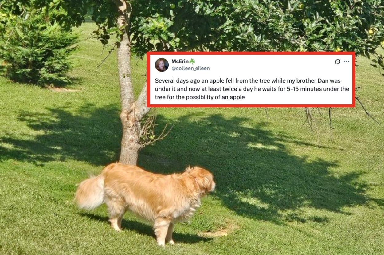 I Actually Think I Might've Thrown My Back Out From Laughing At These 37 Hysterical Fails From Last Week